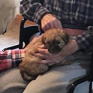 Meet your Posher, Pat